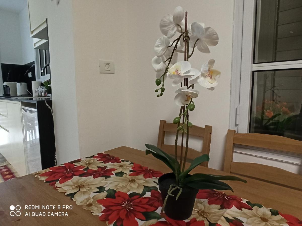 Boutique 22 Guest Rooms 하이파 외부 사진